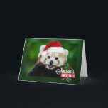 季節のごあいさつズfrom Red Panda Santa シーズンカード<br><div class="desc">季節のごあいさつは赤パンダのサンタのグリーティングカード。</div>
