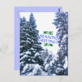 季節のごあいさつ木葉書 ポストカード (正面/裏面)