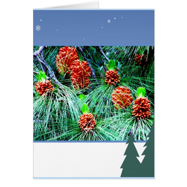 季節のごあいさつ_ (正面)