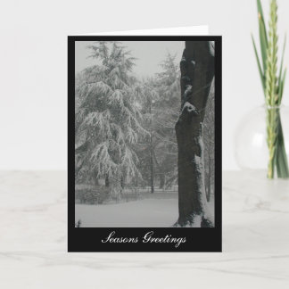 季節のごあいさつ シーズンカード