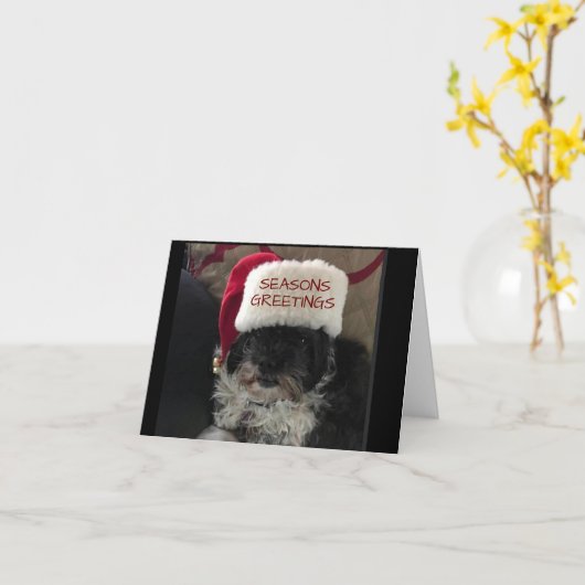 *季節のごあいさつ* MILESカード カード (黄色い花)