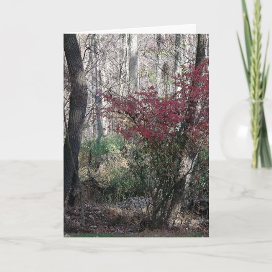 季節のご挨拶カード シーズンカード (正面)