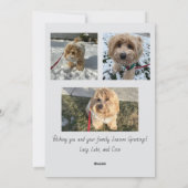 季節のご挨拶 スクリプト フォト カード (裏面)