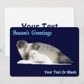 季節のご挨拶 - ワンコハクジラ（またはリングドシール） シーズンカード (正面/裏面)