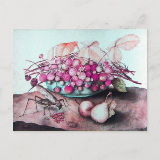 季節のフルーツ3 ポストカード (正面)