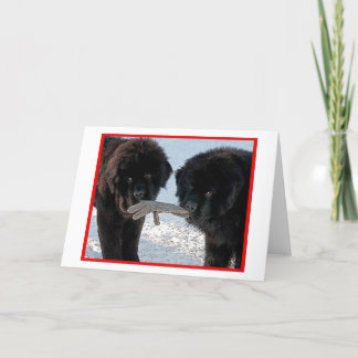 季節のベスト….ブランク シーズンカード