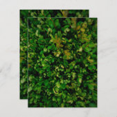 季節の優雅さ シーズンカード (正面/裏面)