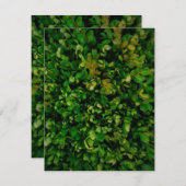 季節の優雅さ 招待状 (正面/裏面)