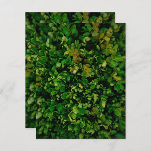 季節の優雅さ 招待状 (正面/裏面)