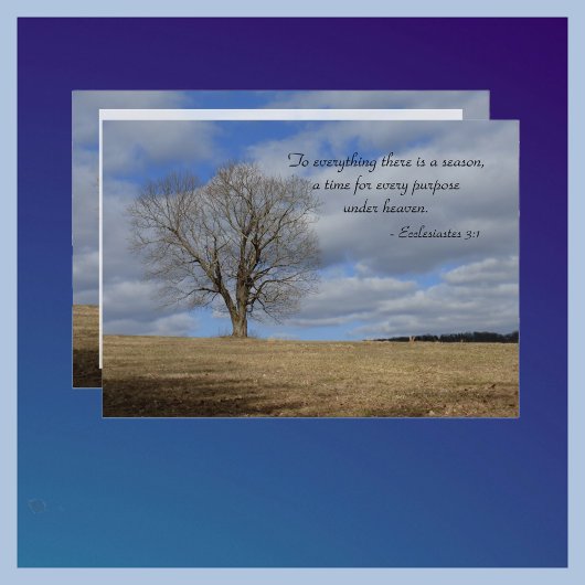 季節の全てに対する生命のお祝い 招待状