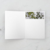 季節の出会い - 冬のホリーと春の訪れ シーズンカード (内部)