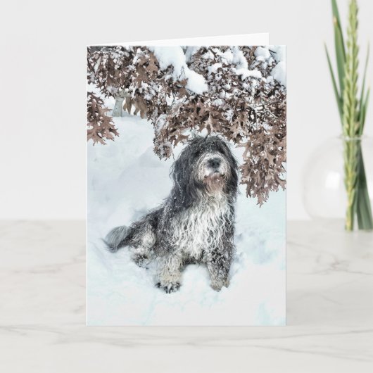 季節の変化 カード (正面)