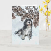 季節の変化 カード (黄色い花)