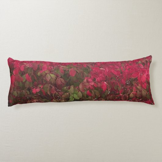 季節の変化 ボディピロー (裏面)