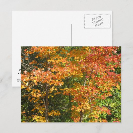 季節の変化 ポストカード (正面/裏面)