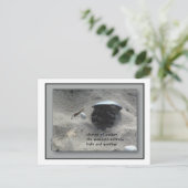 季節の変化 ポストカード (スタンド正面)