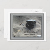 季節の変化 ポストカード (正面/裏面)