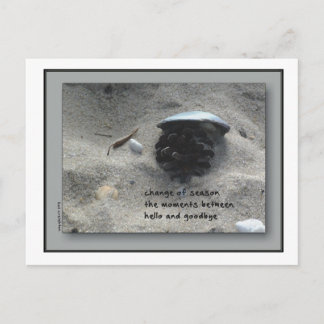 季節の変化 ポストカード