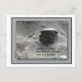 季節の変化 ポストカード (正面)