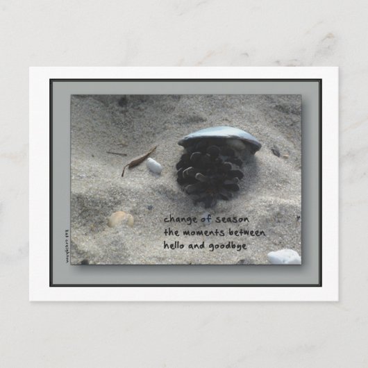 季節の変化 ポストカード (正面)