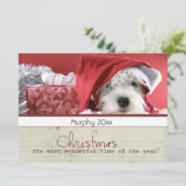 季節の挨拶のクリスマスペット写真カード シーズンカード (スタンド正面)