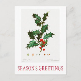 季節の挨拶のクリスマスポストカード ポストカード