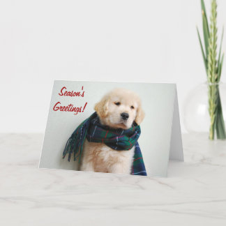 季節の挨拶の休日カード シーズンカード