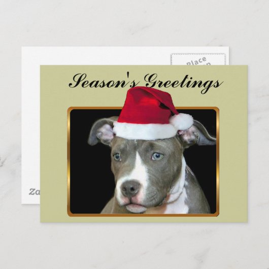 季節の挨拶の青いピットブルの子犬の郵便はがき シーズンポストカード (正面/裏面)