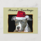 季節の挨拶の青いピットブルの子犬の郵便はがき シーズンポストカード (正面)