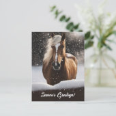 季節の挨拶の馬と雪 シーズンポストカード (スタンド正面)