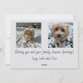 季節の挨拶スクリプト写真カード シーズンカード (裏面)