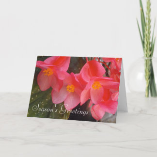 季節の挨拶状 シーズンカード