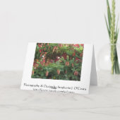 季節の挨拶 シーズンカード (裏面)