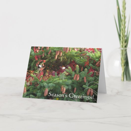 季節の挨拶 シーズンカード (正面)