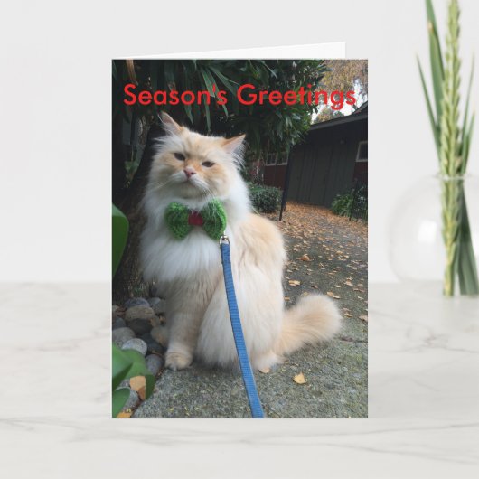 季節の挨拶 シーズンカード (正面)