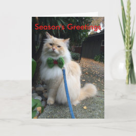 季節の挨拶 シーズンカード