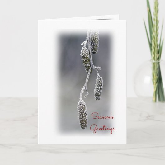 季節の挨拶 シーズンカード (正面)