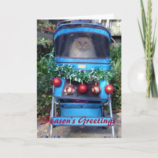 季節の挨拶 シーズンカード (正面)