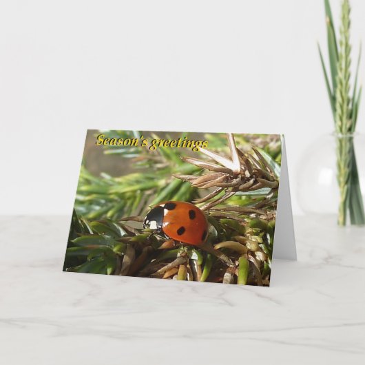 季節の挨拶 シーズンカード (正面)