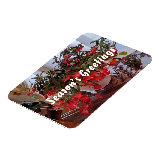 季節の挨拶 マグネット (左側)