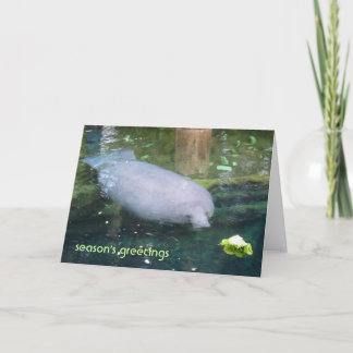 季節の挨拶 – レタス シーズンカード