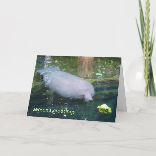 季節の挨拶 – レタス シーズンカード (正面)