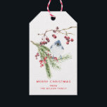季節の挨拶 – Christmas Greenery w Bird ギフトタグ<br><div class="desc">NewParkLane -エレガントクリスマスのギフトのラベルパーソナライズされた。水色の赤い果実と伝統的、かわいい青い鳥（クリステッドティット）とクリスマスグリーンの季節の挨拶。</div>