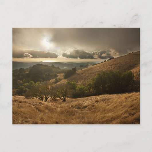 季節の最初の雨 ポストカード (正面)