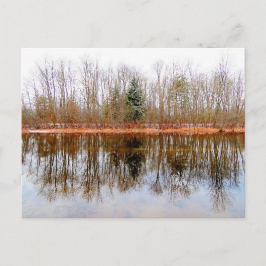 季節の木 – アシュエロリバーパーク ポストカード (正面)