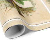 季節の果実/自然，鳥とラズベリー ラッピングペーパー (ロールコーナー)