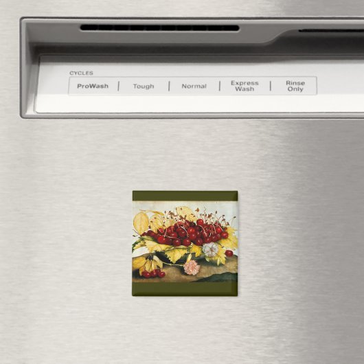 季節の果物/さくらんぼとカーネーション マグネット (インサイチュ (食洗機))