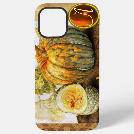 季節の果物 / カボチャのモノグラム iPhoneケース (裏面)