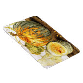 季節の果物 マグネット (右側)