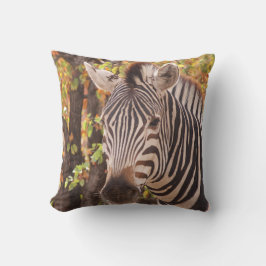 季節の移り変わるバーチェルのゼブラ紅葉 クッション